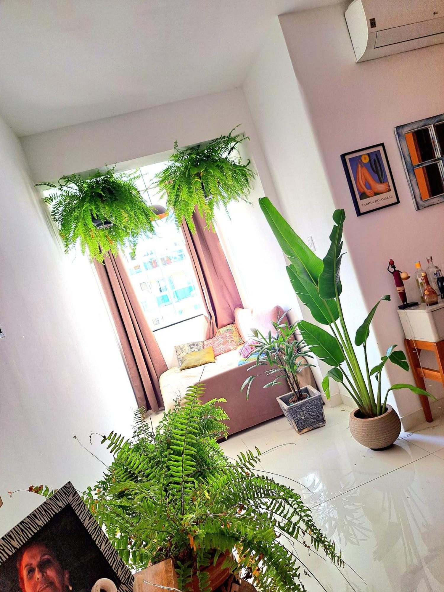 Quarto Com Anfitriao Rj Rio de Janeiro Exteriör bild